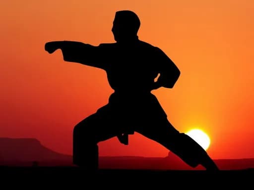 Karate Gün Batımı Savaşçıları